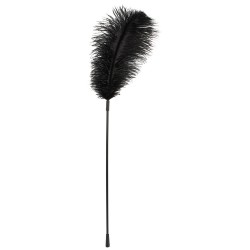 Страусиное перо черное  Feather Wand  black